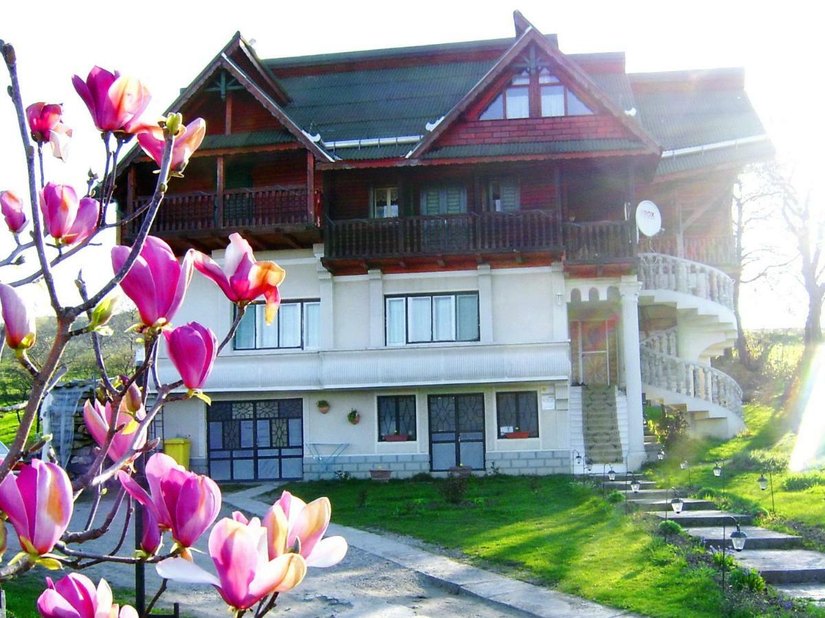 Pensiunea Amethyst Surdesti  Exterior photo